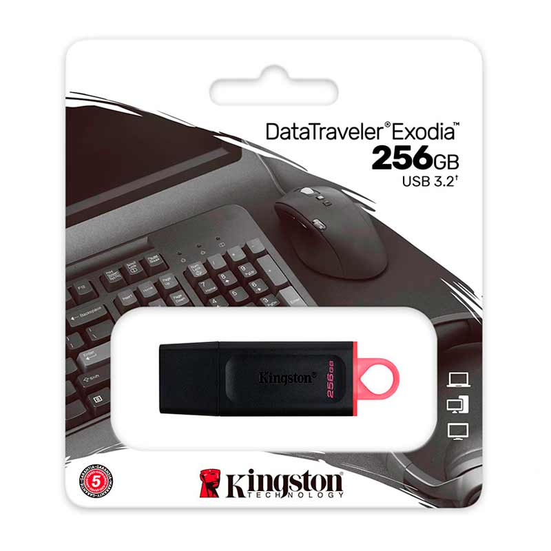 Memoria USB Kingston 256GB 3.2 DTX