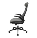 Silla Gaming Cougar Stryder Gris