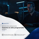 Servicio Hora Adicional de Soporte en Sitio Programado Nivel 1